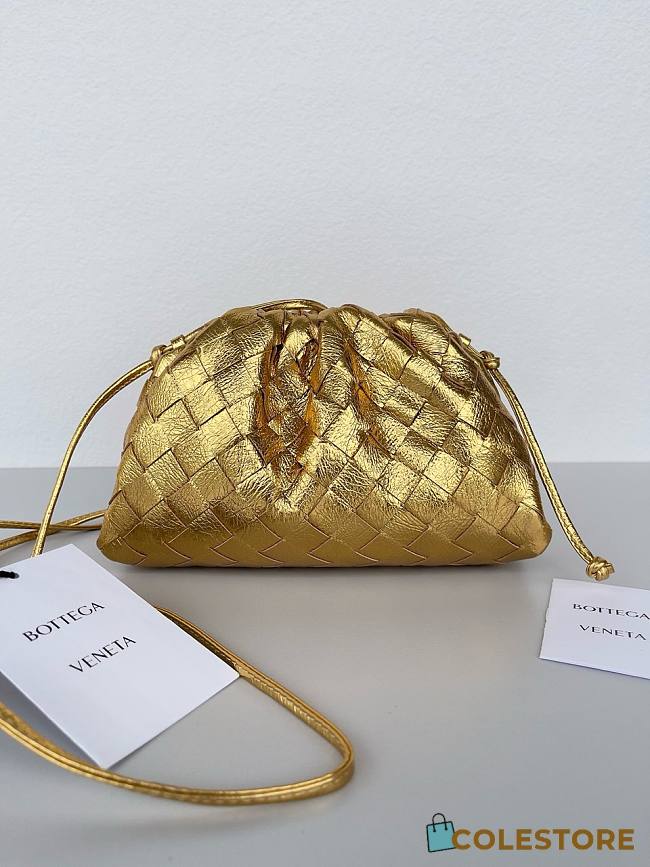 Colestore Bottega Veneta Women Mini Pouch Gold 22x12x7cm - 1