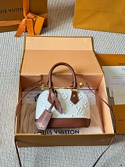 Colestore Louis Vuitton Nano Alma Retiro 16x12cm - 5