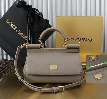 Colestore Dolce & Gabbana Sicily Gray Handbag 18x11x6cm