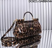 Colestore Dolce & Gabbana Sicily Leopard Print Patent Leather 29x18x12cm - 2