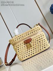 Colestore Louis Vuitton Vanity Chain Pouch Natural Tan Raffia 6.5 x 11.5 x 19cm - 1