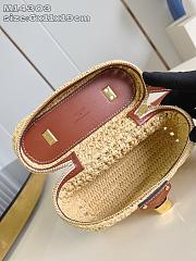 Colestore Louis Vuitton Vanity Chain Pouch Natural Tan Raffia 6.5 x 11.5 x 19cm - 3