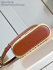 Colestore Louis Vuitton Vanity Chain Pouch Natural Tan Raffia 6.5 x 11.5 x 19cm - 4
