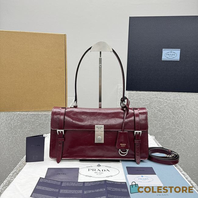 Colestore Prada Red Wine Medium leather handbag 32x17x11cm - 1