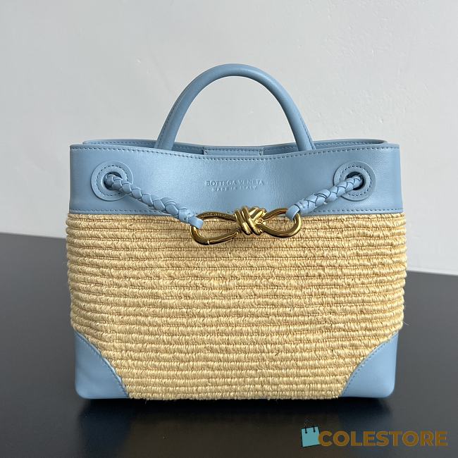 Colestore Bottega Veneta Small Andiamo Ice/Natural 25x20x10cm - 1