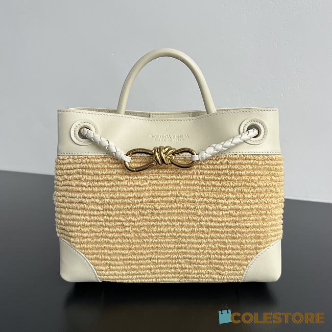Colestore Bottega Veneta Small Andiamo Sea salt/natural 25x20x10cm - 1