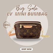 Louis Vuitton Mini Bumbag Monogram Macassar Canvas 17x15cm  - 1