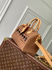 Colestore Louis Vuitton Speedy 25 Pharrell Williams x Nigo 25x19x15cm - 5