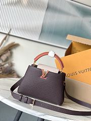 Colestore Louis Vuitton Capucines MM Chocolate / Quartz / Tan 27 × 18 × 9 cm - 1