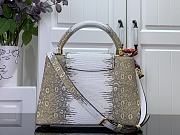 Colestore Louis Vuitton Capucines BB 'Vegetal Luxe Beige' 27x18x9cm - 2