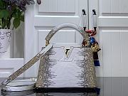 Colestore Louis Vuitton Capucines Mini 'Vegetal Luxe Beige' 21×14×8cm - 1
