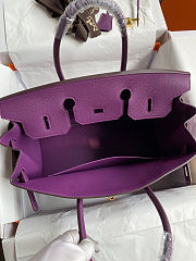 Colestore Hermes Birkin Purple Togo 35CM - 6