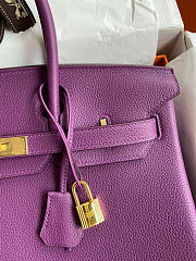 Colestore Hermes Birkin Purple Togo 35CM - 2