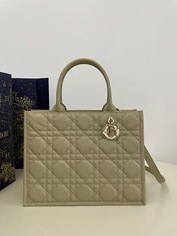 Colestore Dior Lady D-Lite Bag Matcha size 36cm