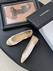 Colestore Chanel Spring-Summer 25P Raphia Ballet Flats in White/Beige - 5