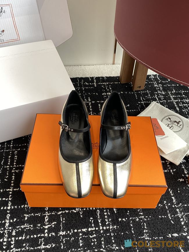 Colestore Hermes Mary Jane Lilibeth Gold - 1