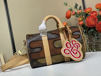Colestore Louis Vuitton Keepall Bandoulière 25 Landscape Brown 25 x 15 x 11cm