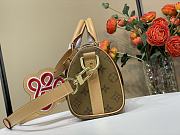 Colestore Louis Vuitton Keepall Bandoulière 25 Landscape Brown 25 x 15 x 11cm - 2