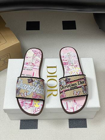 Colestore Dior Dway Slides Shanghai Limited Edition Pink 