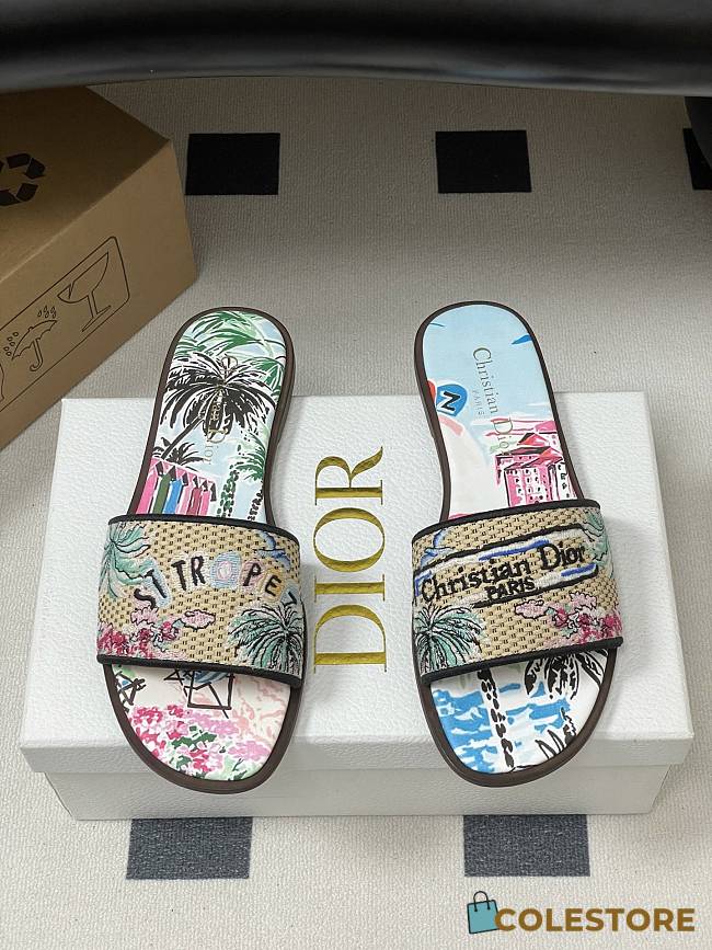 Colestore Dior Dway Slides St. Tropez Limited Edition - 1