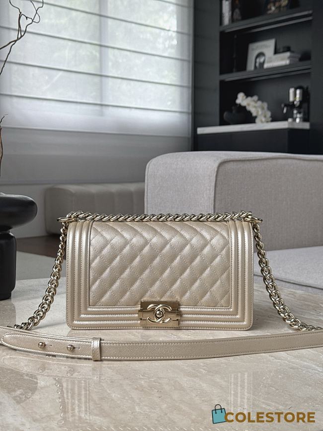 Colestore Chanel Le Boy 25 Metallic Beige/Gold Chevron Quilted Bag 15x25x9cm - 1