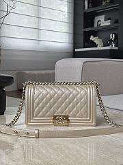 Colestore Chanel Le Boy 25 Metallic Beige/Gold Chevron Quilted Bag 15x25x9cm - 1