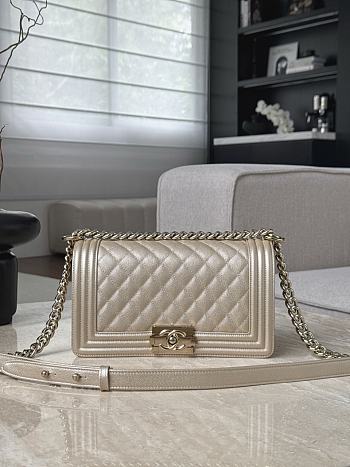 Colestore Chanel Le Boy 25 Metallic Beige/Gold Chevron Quilted Bag 15x25x9cm