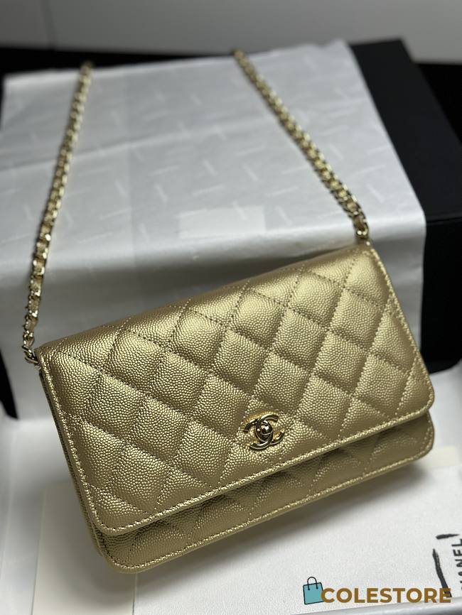 Colestore Chanel Classic Wallet on Chain (WOC) in Metallic Gold Caviar Leather 19cm - 1