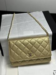 Colestore Chanel Classic Wallet on Chain (WOC) in Metallic Gold Caviar Leather 19cm - 4