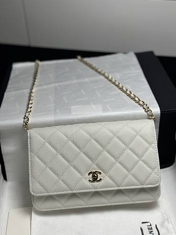 Colestore Chanel Classic Wallet on Chain (WOC) in White Caviar Leather 19cm