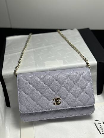 Colestore Chanel Classic Wallet on Chain (WOC) in Lilac Caviar Leather 19cm