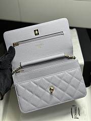 Colestore Chanel Classic Wallet on Chain (WOC) in Lilac Caviar Leather 19cm - 3