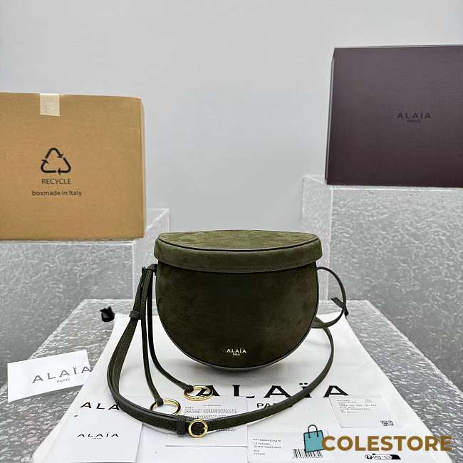 Colestore Alaia Le Click Leather-Trimmed Nubuck Shoulder Bag Green 20x11x17cm - 1