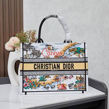 Colestore Dior Souvenir Medium Dior Book Tote Natural Raffia and Multicolour 36cm