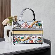 Colestore Dior Souvenir Medium Dior Book Tote Natural Raffia and Multicolour 36cm - 4