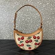 Colestore Valentino Vlogo Signature Mini Hobo Bag In Jacquard Raffia With Cherryfic Pattern 20x12x4cm - 1