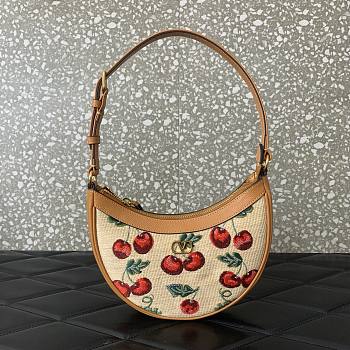 Colestore Valentino Vlogo Signature Mini Hobo Bag In Jacquard Raffia With Cherryfic Pattern 20x12x4cm