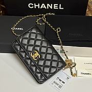 Colestore Chanel Wallet on Chain Shiny Calfskin & Gold-Tone Metal Black 19.5x12x3.5cm - 1