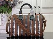 Colestore Louis Vuitton Speedy Bandouliere 30 Brown/Black/White Striped Canvas 32 x 22.5 x 18cm - 2