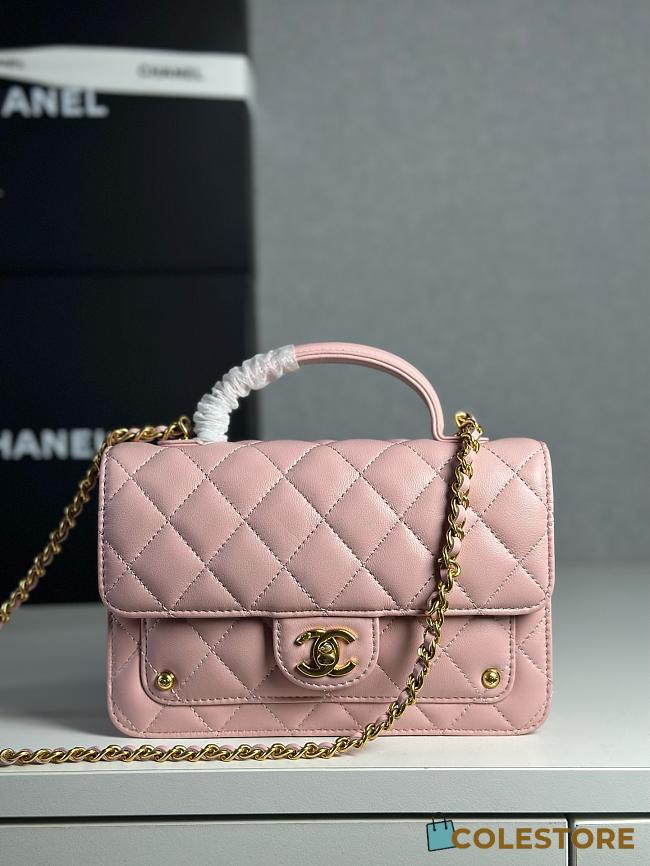 Colestore Chanel Wallet On Chain Shiny Lambskin & Gold-Tone Metal Light Pink 12.3 x 19 x 5cm - 1