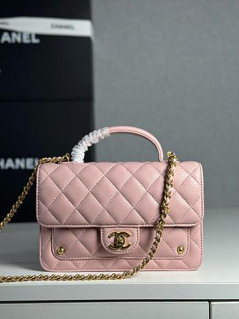 Colestore Chanel Wallet On Chain Shiny Lambskin & Gold-Tone Metal Light Pink 12.3 x 19 x 5cm