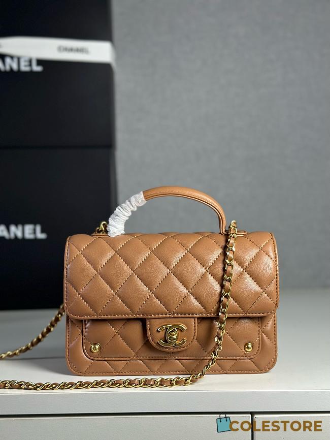 Colestore Chanel Wallet On Chain Shiny Lambskin & Gold-Tone Metal Brown 12.3 x 19 x 5cm - 1