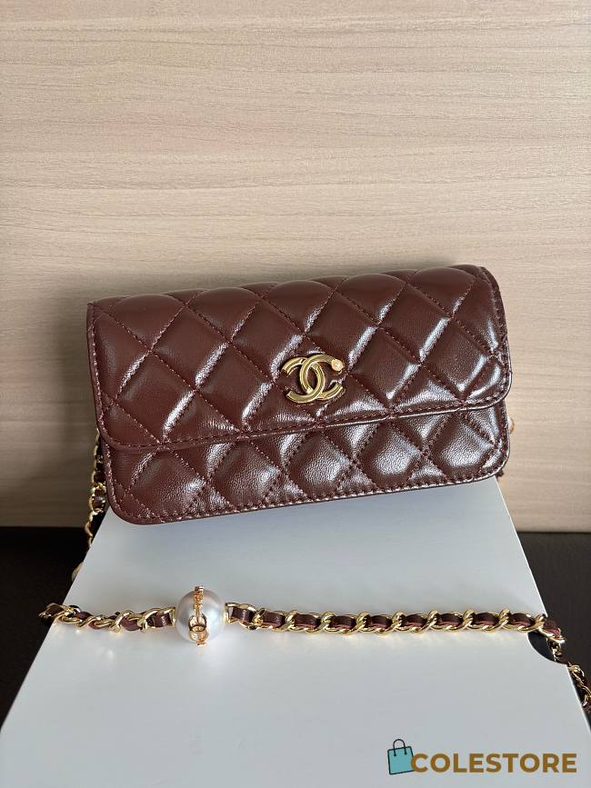 Colestore Chanel Wallet on Chain (WOC) in Brown with Gold Hardware 17cm - 1