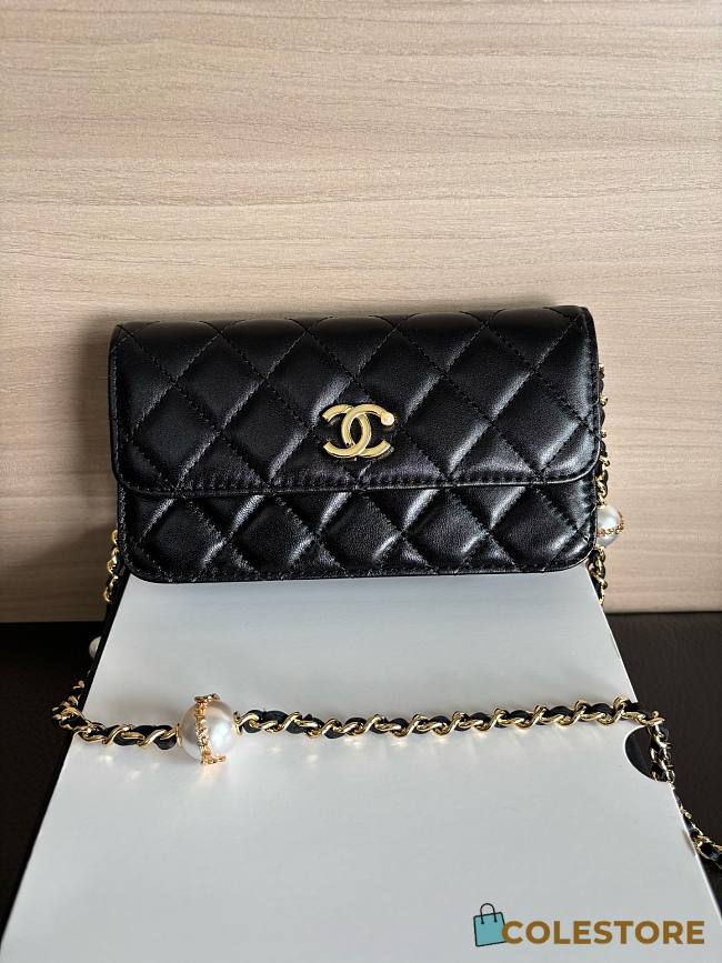 Colestore Chanel Wallet on Chain (WOC) in Black with Gold Hardware 17cm - 1