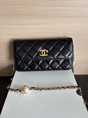 Colestore Chanel Wallet on Chain (WOC) in Black with Gold Hardware 17cm
