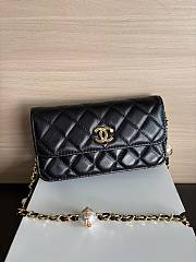 Colestore Chanel Wallet on Chain (WOC) in Black with Gold Hardware 17cm - 2