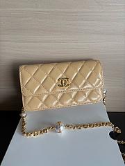 Colestore Chanel Wallet on Chain (WOC) in Beige with Gold Hardware 17cm - 1