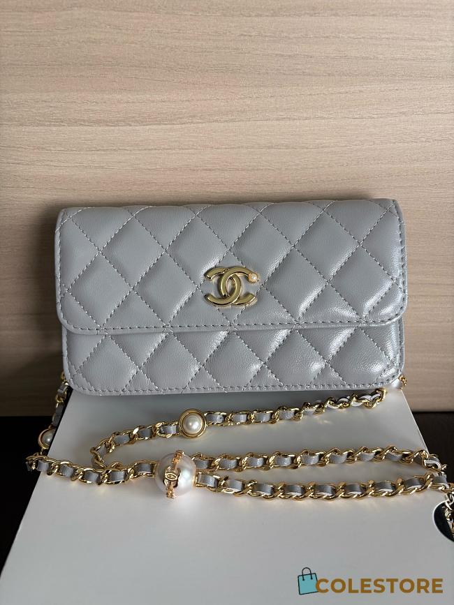 Colestore Chanel Wallet on Chain (WOC) in Grey with Gold Hardware 17cm - 1
