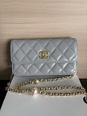 Colestore Chanel Wallet on Chain (WOC) in Grey with Gold Hardware 17cm - 1
