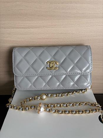 Colestore Chanel Wallet on Chain (WOC) in Grey with Gold Hardware 17cm